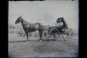 Antique 4x5 Inch Plate Glass Negative Of Two Men On A Buggy With Horses E13