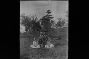 Antique 4x5 Inch Plate Glass Negative Of Two Girls Sitting Next To A Plant E13