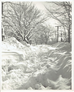 Vintage 8x10 Black & White Photograph of a Snow Covered Side Street (V3858)