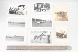 Horse & Racing Vintage Black and White Photo Lot Photograph Collection V21