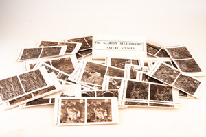 Keaton Stereoscopic Nature Studies Series I II III 35 Stereo Views in Box V24