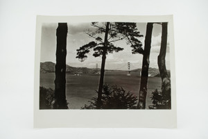 San Francisco Golden Gate Bridge From Lincoln Park Land's End Wooded Cliffs V28