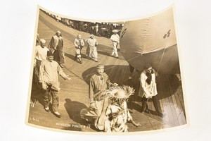 1950 Gelatin Silver Photo 10x8 - Tall Cedars of Lebanon Neversink Forest #32 V29