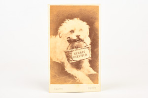 1865 CDV Carte-de-visite Photo - Photographer S. Hollyer Scraps Received Dog V21