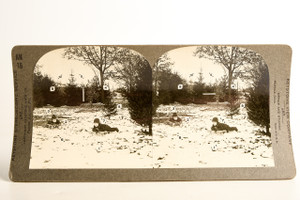 Keystone Stereoview Photo - AN16 Zeta Unit - The Last Snowfall (3) V26