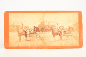 1880s E. C. Swain Stereoview Photo 7x3¼" - Horse-Drawn Carriage Street Scene V20