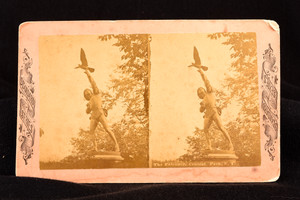 The Falconer Central Park NY Standard Series Mammoth Stereoview 1880s V21