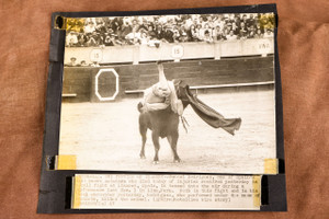 Matador Manuel Rodriguez Tossed by Bull Before Fatal Goring 1947 AP Wire Photo