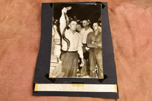 Rev Gordon Miller Snake Handling Church Georgia 1947 AP Wire Photo V37