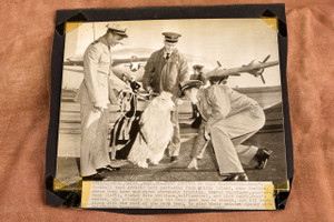 Navy Football Team Goat Mascot Arrives Alameda California 1947 AP Wire Photo V30