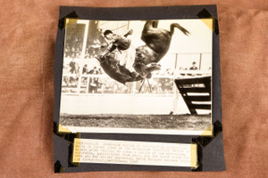 Showhorse Churchill Fatal Hurdle Fall Melbourne Australia 1947 AP Wire Photo V32