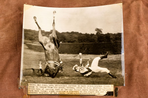 Jockey Frank Adams Belmont Park Race Spill Injury 1947 AP Wire Photo V33