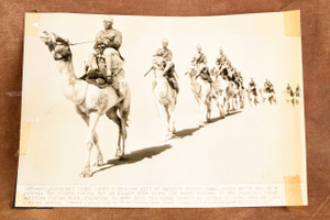 Egypt Desert Camel Corps Patrol Sinai 9x6⅜ 1947 AP Wire Photo V36