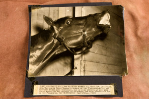Jet Pilot Kentucky Derby Horse Race Winner All Smiles 8x8 1947 AP Wire Photo V38