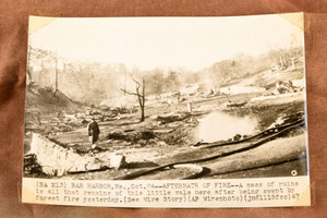 Forest Fire Ruins Bar Harbor Maine Smoldering Vale 8x5⅝ 1947 AP Wire Photo V34