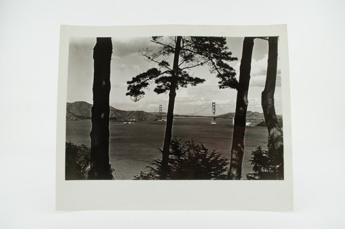 San Francisco Golden Gate Bridge From Lincoln Park Land's End Wooded Cliffs V28