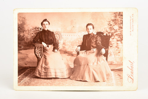 1890s Cabinet Card 6½ x 4¼'' Albumen Print - Portrait of 2 Sitting Sisters V25