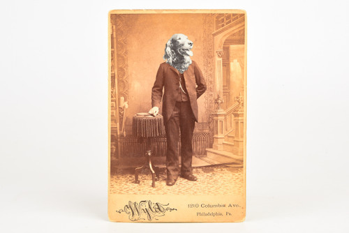 1890s Cabinet Card 6½x4¼' Albumen Photo - Altered Dog Head Portrait of Man V24
