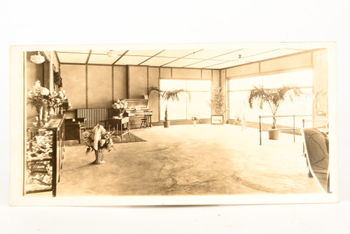 Early 1900s RPPC Photo 7x3½" - Interior of Studio w Piano & Many Plants V24