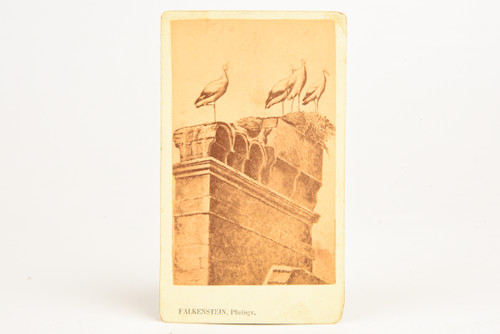 1860s CDV Carte-de-visite Albumen Photo - Storkes Nest By: Falkenstein V25