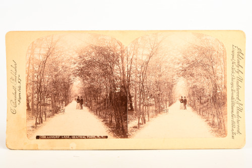 1894 Underwood Stereoview Photo - Lovers Lane in Central Park New York City V25