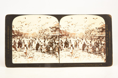 Early 1900s Stereoview Photo - Street Scene w Myriad of BirdsJaipur, India V28