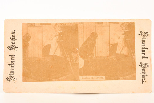 1890s Standard Series Stereoview Photo Amateur Photography Camera Girl & Dog V28