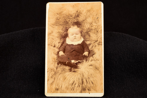 1880s CDV Carte-de-visite Photo 2½x4⅛" - Young Child Surrounded By Fur V23
