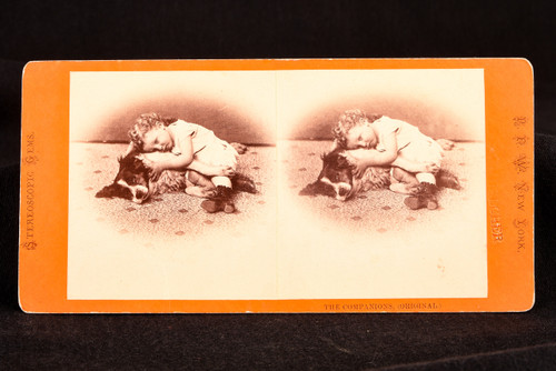 Stereoview Photo P.F. Weiler The Companions Vicorian Child With Dog 7×3½" V22