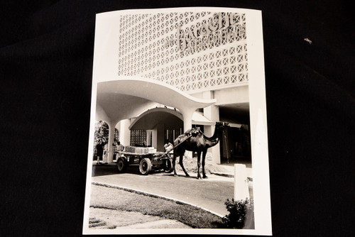 1965 Vintage Press Photo Karachi Intercontinental Hotel & Camel Carts 6½x8½" V28