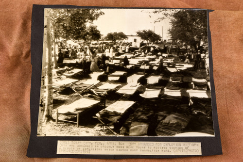 Texas City Disaster Cots for Explosion Victims 8¾ x 7½ 1947 AP Wire Photo V33