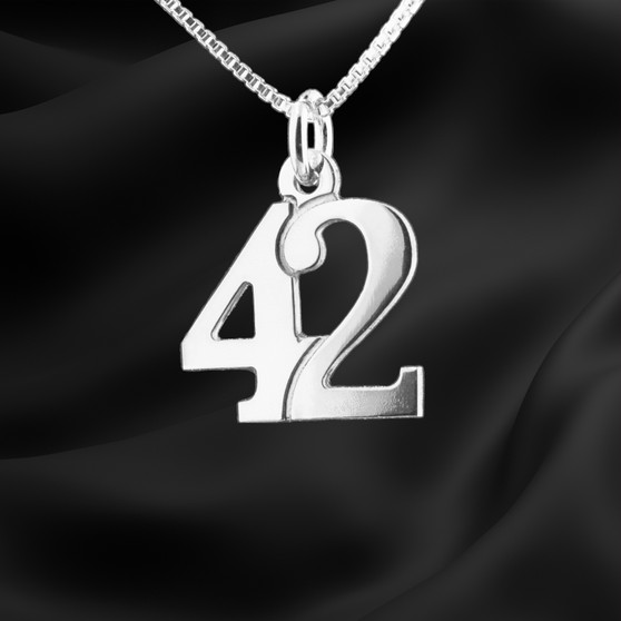 "Pretty Stylish" double and single number charm necklace