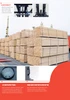 TAILIFT PFG36 — 8,000-Lb Pneumatic-Tire LPG Forklift