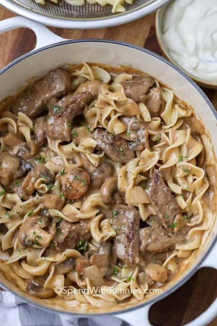 NourishNGo freeze dried beef stroganoff, Savory Elegance on Your Plate: Indulge in Our Irresistible Beef Stroganoff