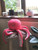Big Friendly Octopus Knitting Pattern Big Friendly Octopus Knitting Pattern