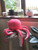Octopus Knitting Pattern  Octopus Knitting Pattern