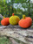 Halloween pumpkin decorations 