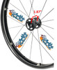 25"  (559) Swan® 16 Spoke Wheel & Primo Racer Blue - Set of 2