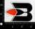 Buffalo Braves B with Feather Logo