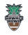 Sheraton Hawaii Bowl Jersey Patch (Vertical)