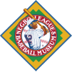 NLBM