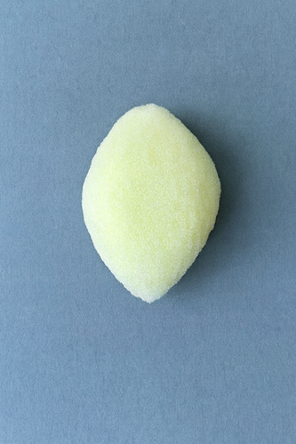 Sponge