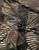 Textured 4x4 Ribbed with Gold Foil Stripes Design Fabric