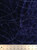 Glitter Strings on Velvet Stretch Fabric Plum and Navy 54"/58" Wide