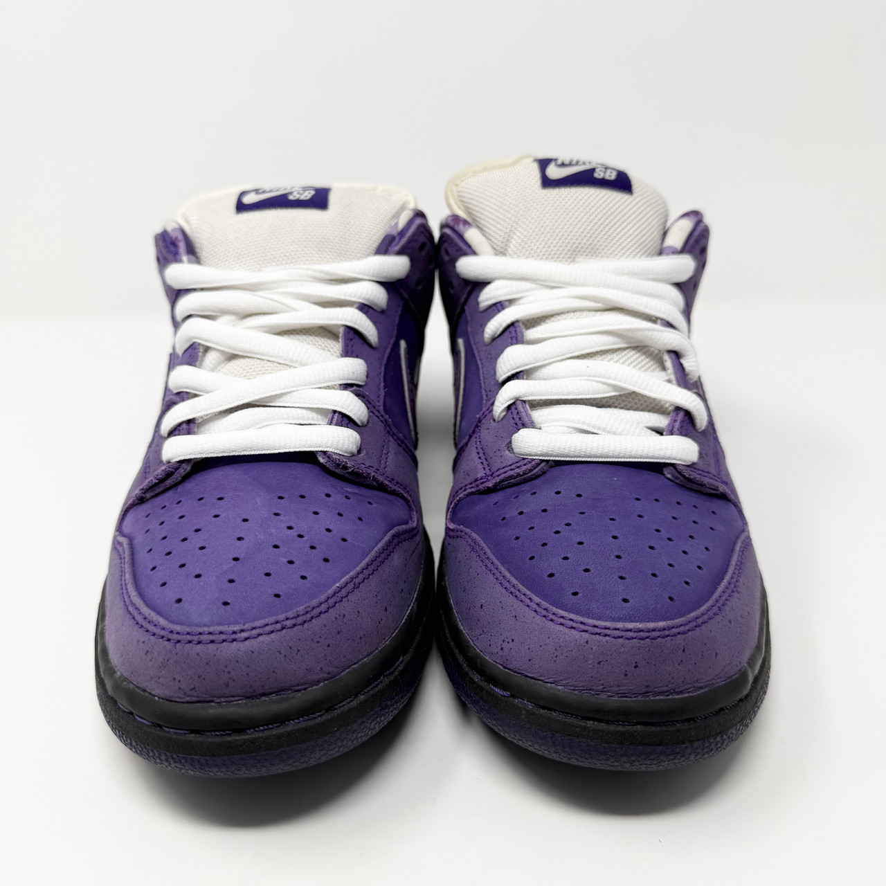 nike dunk low concepts