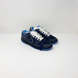 Nike Dunk Low Prem SB Blue Lobster