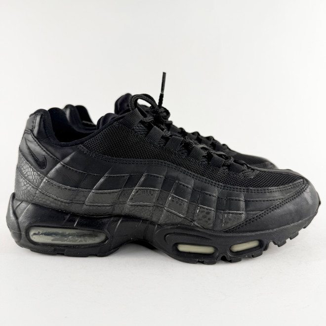 Nike Air Max 95 'Triple Black' (2008)