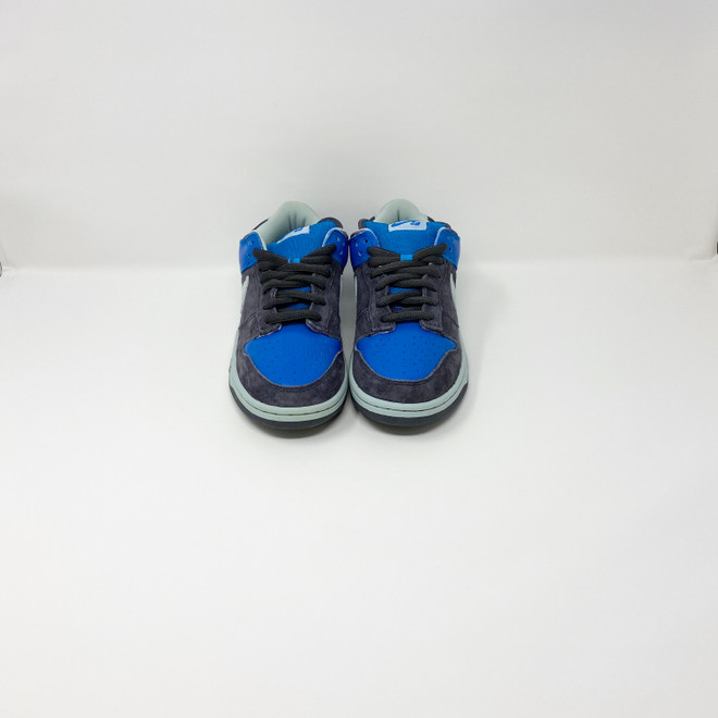 Nike Dunk Low Pro SB Aqua Chalk - Truest