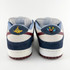 Nike Dunk Low SB FTC 'Finally'