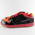 Nike Dunk Low SB Prem 'Hawaii' Sample